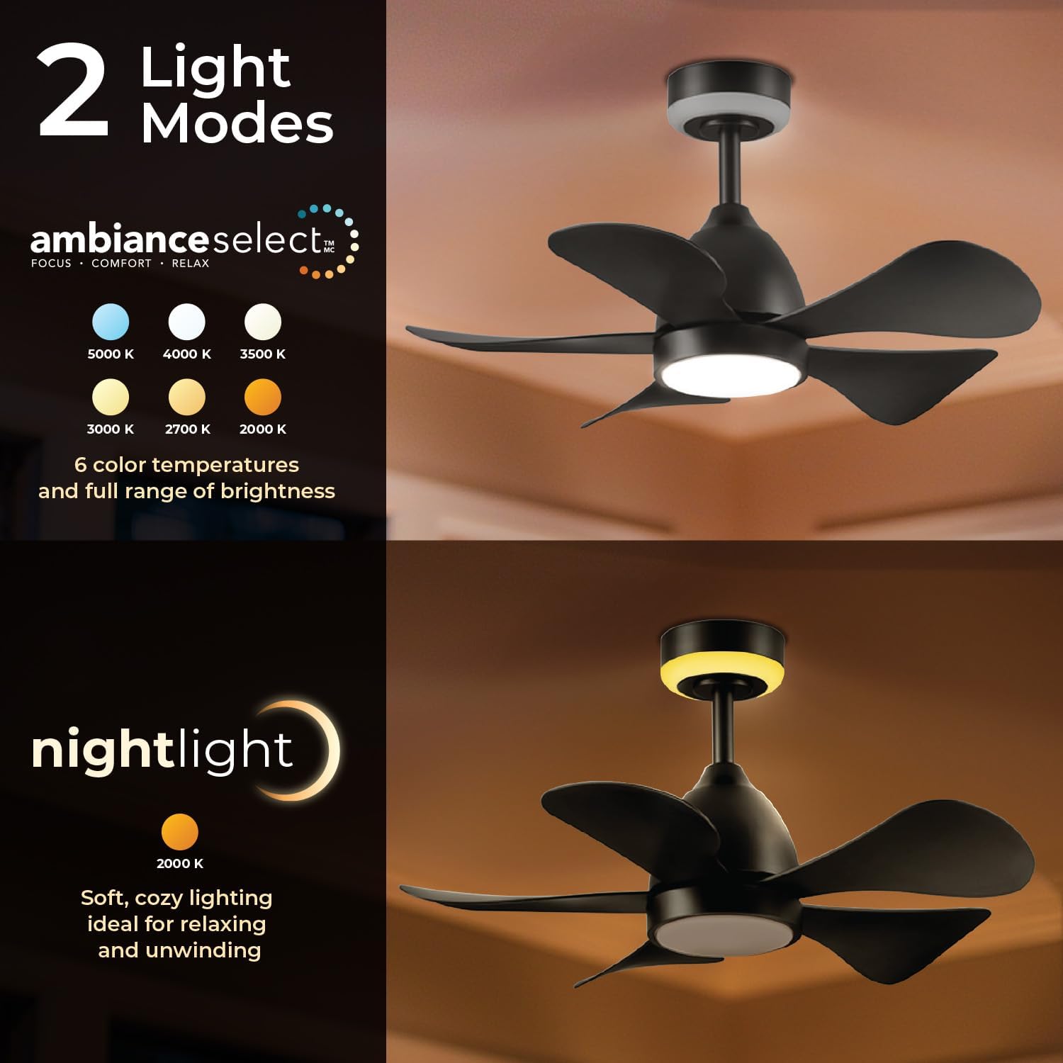 Globe Electric 37000106 30' Ceiling Fan with LED Light, Nightlight, Remote Control, WhisperQuiet DC Motor, 6 Speeds, Matte Black
