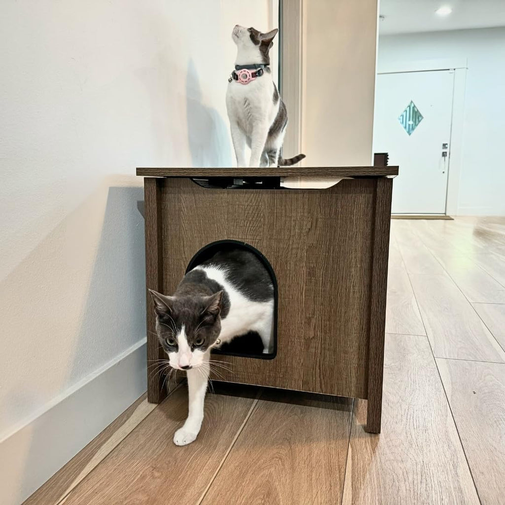 Parker Designer Cat Litter Box Enclosure – Hidden, Dog-Proof Pet Furniture with Lid, Elegant & Odor-Contained for Large Cats, Light Brown