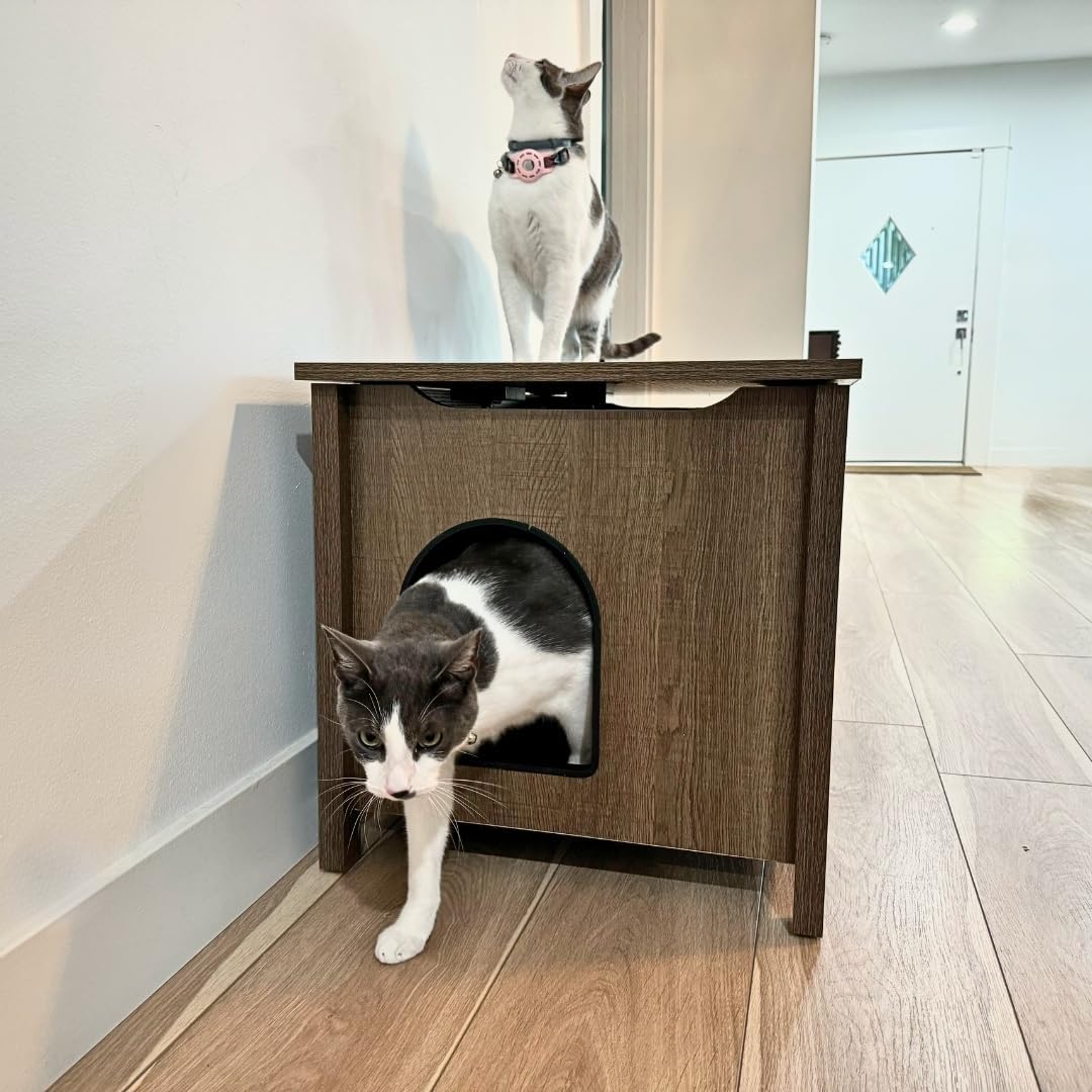 Parker Designer Cat Litter Box Enclosure – Hidden, Dog-Proof Pet Furniture with Lid, Elegant & Odor-Contained for Large Cats, Light Brown