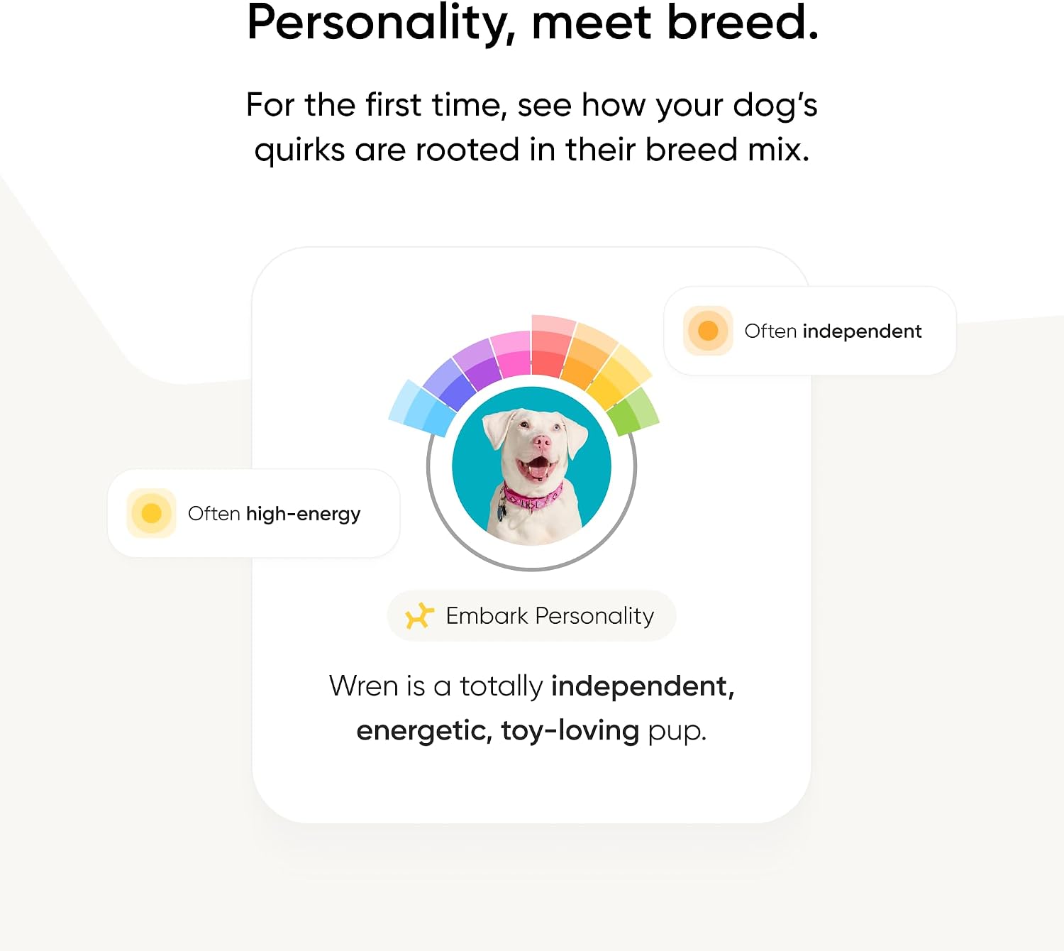 Embark Breed Identification Kit - Most Accurate Dog DNA Testing Kit - 99% Breed Ancestry Accuracy for Mixed Breed Dogs - Plus Relative Finder & Family Tree