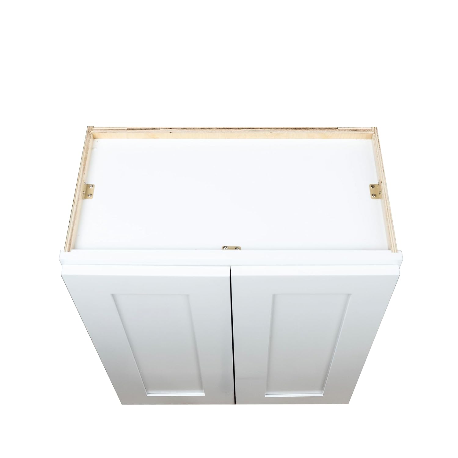 Hollywood Fabiani Design Wall Kitchen Cabinet 24 in. W x 12 in. D x 36 in. H in Shaker White Ready to Assemble