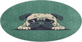 Pug Green Polka Dot Coral Velvet Round Floor Mat Non-Slip Bath Rug Floor Covering for Bathroom Vanity Guest Suite & Vacation Home