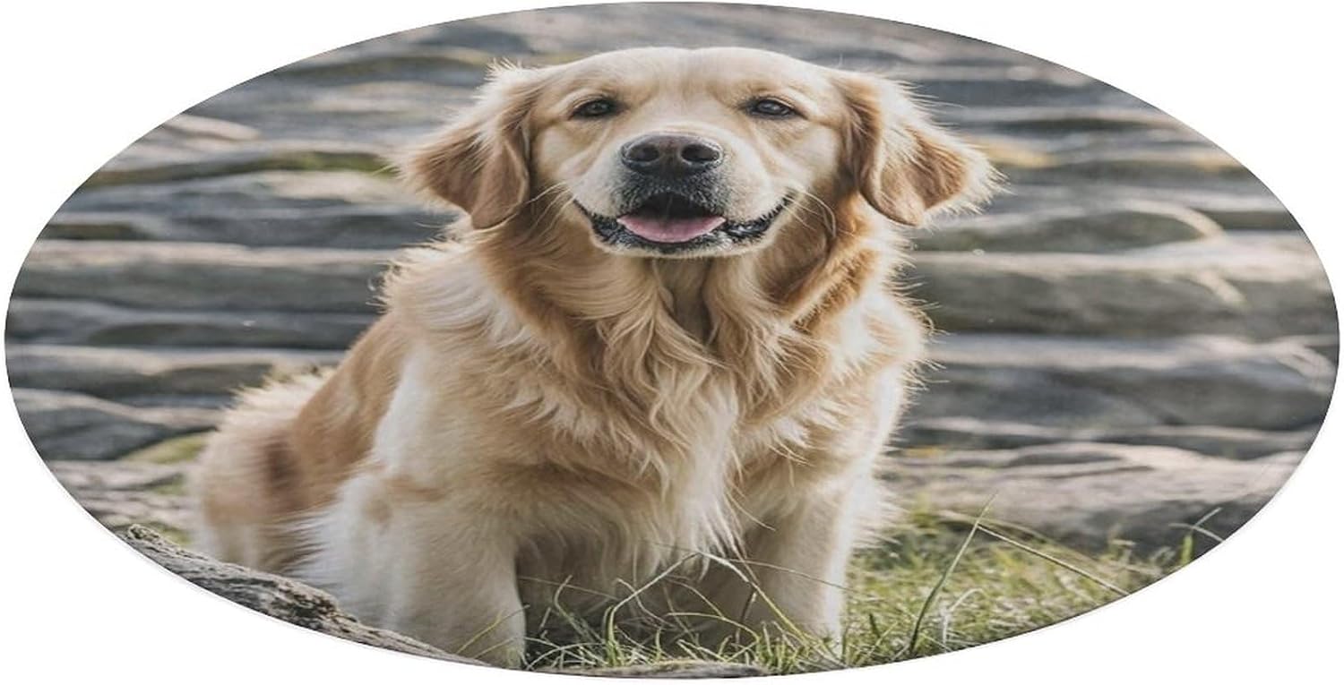 Golden Retriever Coral Velvet Round Floor Mat Non-Slip Bath Rug Floor Covering for Bathroom Vanity Guest Suite & Vacation Home