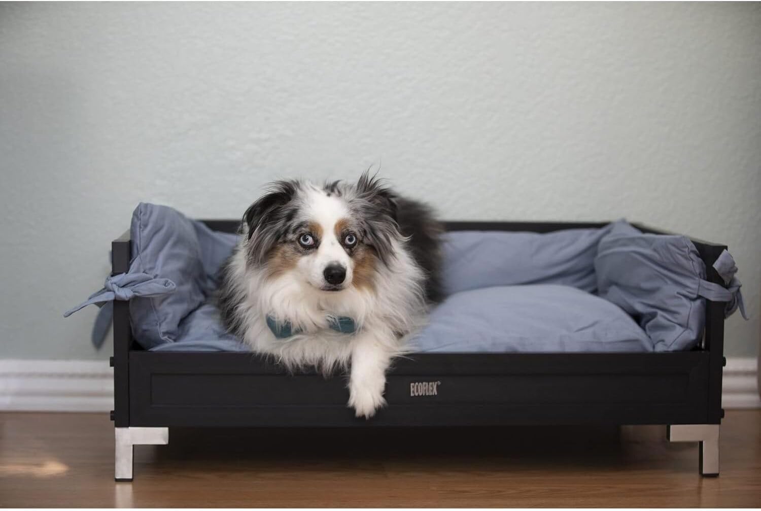 New Age Pet ECOFLEX Manhattan Raised Dog Bed, Moisture Resistant Frame with Stainless Steel Accents, Memory Foam Cushion, Espresso Black, X-Large
