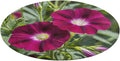 Red Geraniums Coral Velvet Round Floor Mat Non-Slip Bath Rug Floor Covering for Bathroom Vanity Guest Suite & Vacation Home