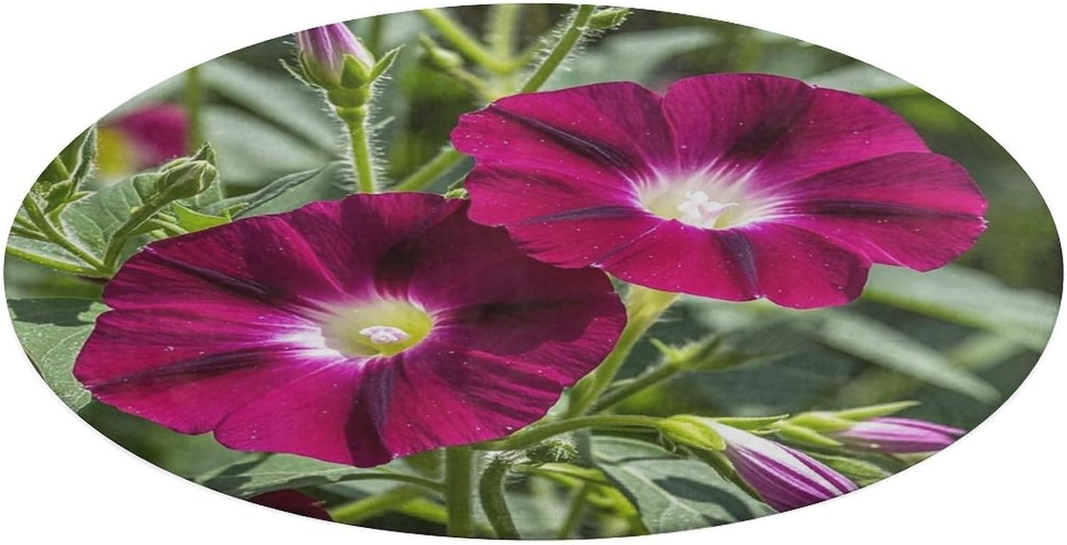Red Geraniums Coral Velvet Round Floor Mat Non-Slip Bath Rug Floor Covering for Bathroom Vanity Guest Suite & Vacation Home