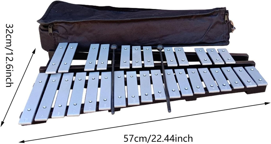 30 Note Xylophone with Mallets and Carry Bag - Portable Glockenspiel Musical Instrument for Kids Students Beginners
