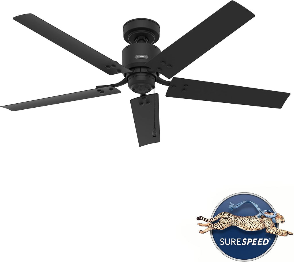 Hunter 52 inch Outdoor or Indoor Ceiling Fan No Light - Black Ceiling Fan without Light, For Patio, Porch, Garage, or Living Room, Standard Mount, 5 Blades, Pull Chain - Windbound 51459, Matte Black