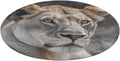 Lioness with Blue Green Eyes Coral Velvet Round Floor Mat Non-Slip Bath Rug Floor Covering for Bathroom Vanity Guest Suite & Vacation Home