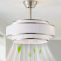 20' Caged Ceiling Fans with Lights and Remote, Fandelier Ceiling Fan with Light, Modern Bladeless Quiet Reversible Motor 6 Speeds for Bedroom, Nursery, Living Room, Silver