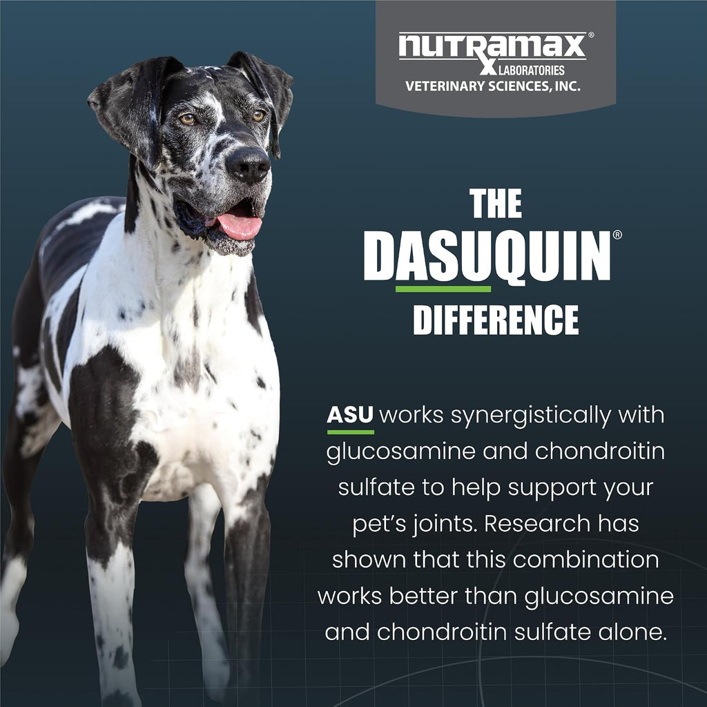 Nutramax Dasuquin for Large Dogs, Joint Health Supplement, Contains Glucosamine for Dogs, Plus Chondroitin, ASU and More, Supports Healthy Joints, Chewable Tablets, 150 Count (Pack of 2)