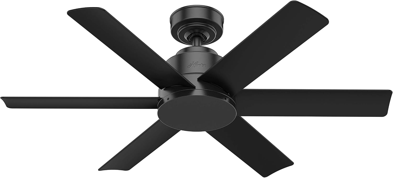 Hunter Fan 44 inch Contemporary Matte Black Indoor/Outdoor Ceiling Fan with 6 Blades (Renewed)