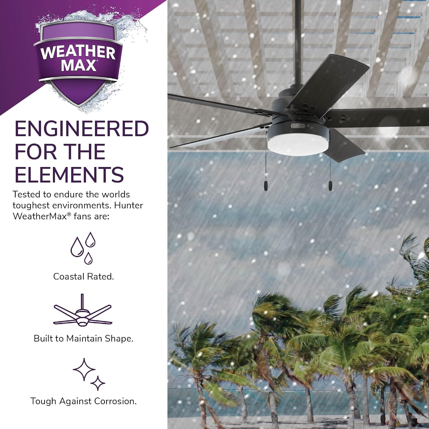 Hunter 52 inch Outdoor or Indoor Ceiling Fan with LED Light and Pull Chain - Black Ceiling Fan, Standard Mount, 5 Blades, For Patio, Porch, Garage, or Living Room - Sea Point 51681, Matte Black