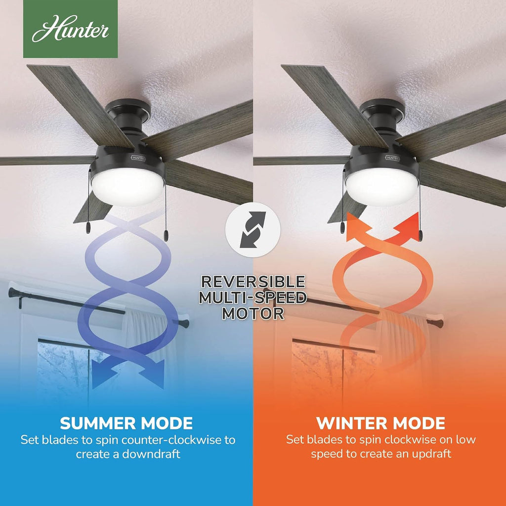 Hunter Fan 52 inch Low Profile Noble Bronze Indoor Ceiling Fan with LED Light Kit and Pull Chain (Renewed)