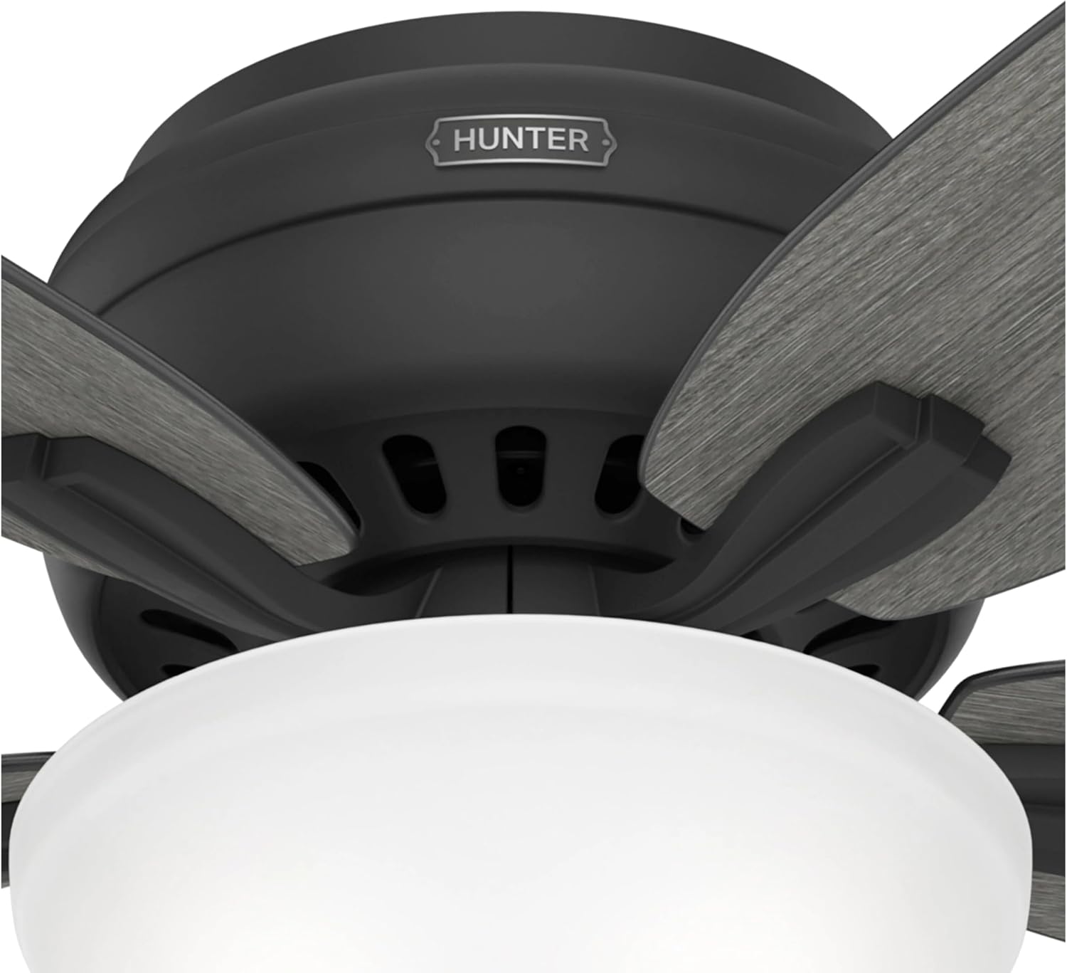 Hunter 52-Inch Ceiling Fan with Lights and Pull Chain - Matte Black, Reversible Blades, Indoor for Kitchen, Bedroom, Living Room (Renewed)