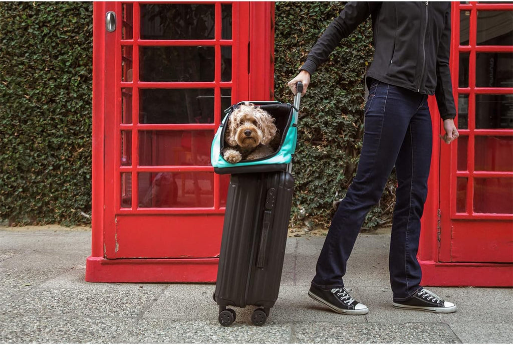 Sleepypod Air - Airline Approved Carrier for Cats and Dogs (First Blush)