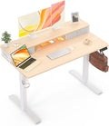 Electric Standing Desk with Two Drawers,48 x 24 Inch Sit Stand Desk Adjustable Height, Stand Up Desk with Storage Shelf, Computer Workstation for Home Office, Oak