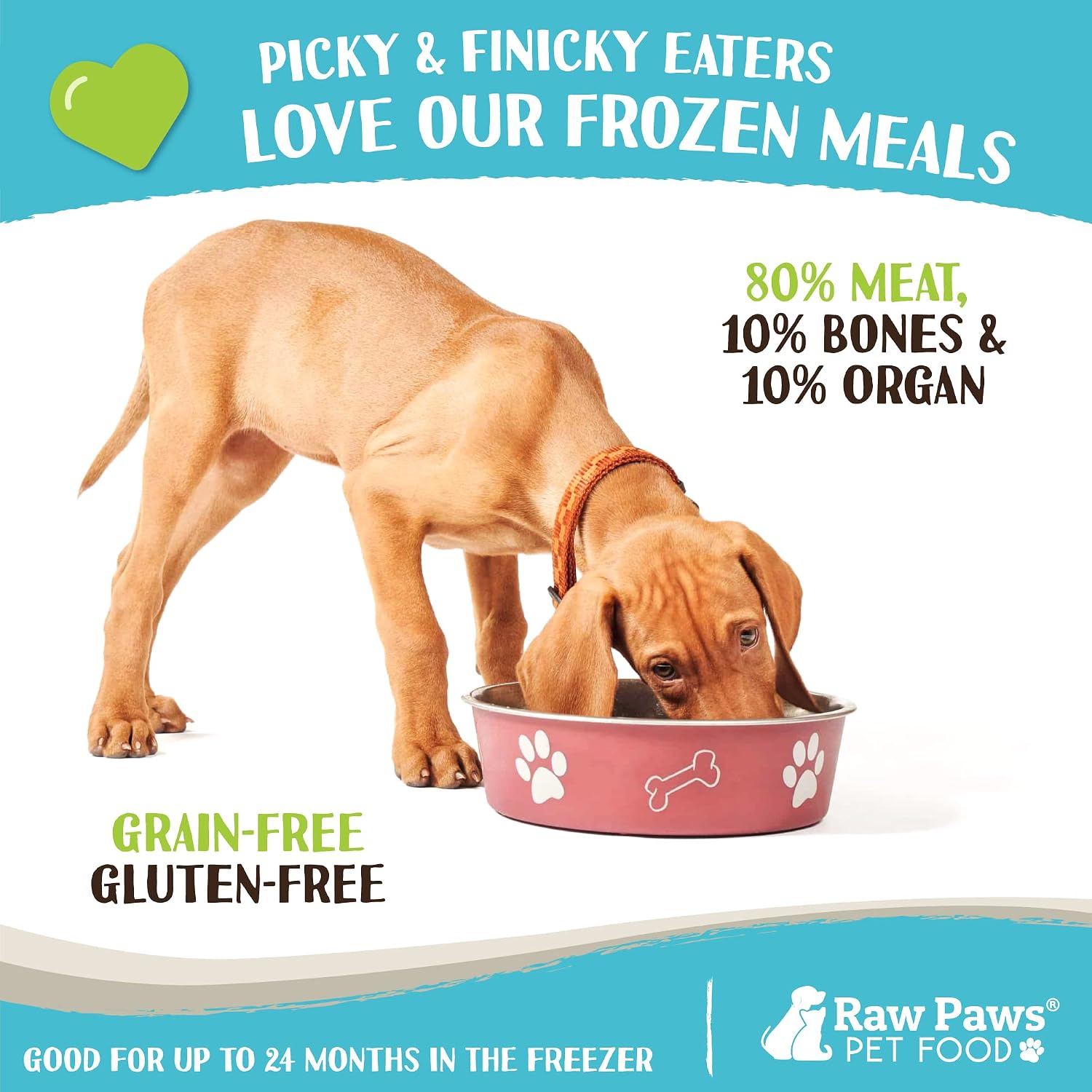 Raw Paws Signature Blend Pet Food for Dogs & Cats - Turkey Recipe, 1-lb Rolls (20 Pack) - Made in USA Frozen Turkey Roll Dog Food - Log Dog Food - Refrigerated Raw Frozen Food for Dogs