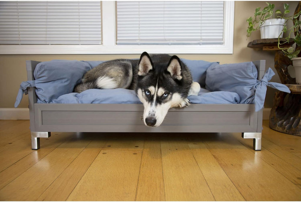 New Age Pet ECOFLEX Manhattan Raised Dog Bed, Moisture Resistant Frame with Stainless Steel Accents, Memory Foam Cushion, Grey, X-Large