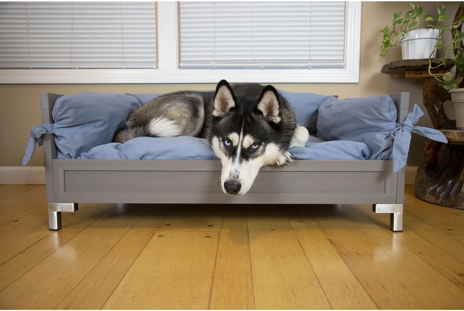 New Age Pet ECOFLEX Manhattan Raised Dog Bed, Moisture Resistant Frame with Stainless Steel Accents, Memory Foam Cushion, Grey, X-Large