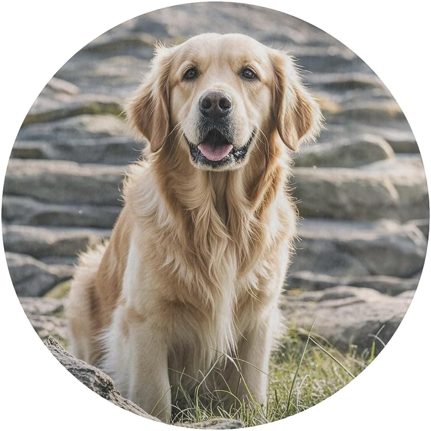 Golden Retriever Coral Velvet Round Floor Mat Non-Slip Bath Rug Floor Covering for Bathroom Vanity Guest Suite & Vacation Home