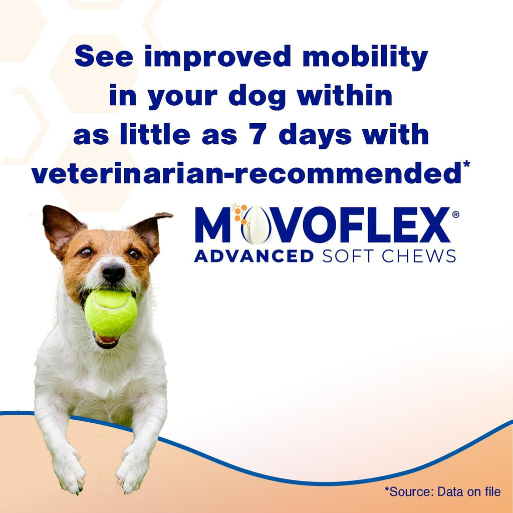 MOVOFLEX Advanced Soft Chews Hip and Joint Support Supplement for Large Dogs - 120 Count by Virbac