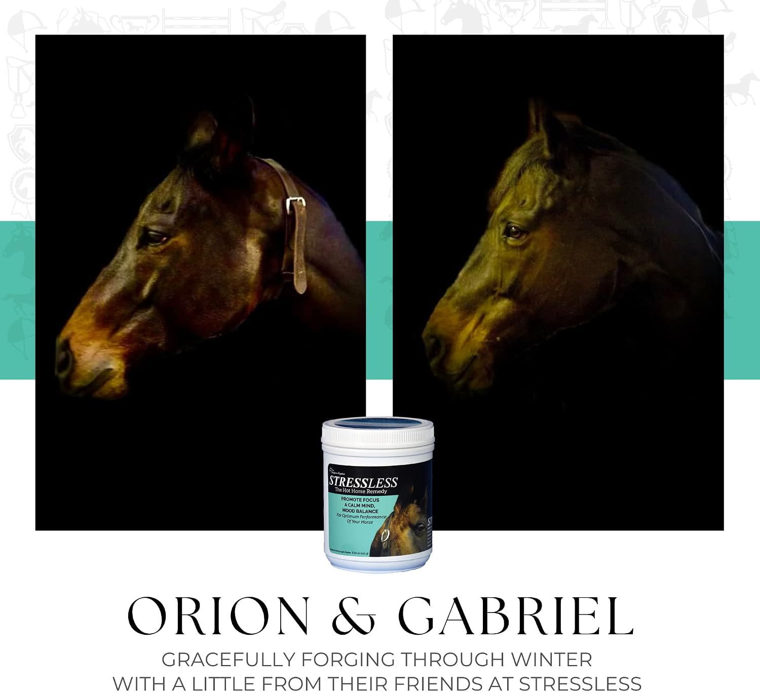 StressLess Hot Horse Supplement - 60 Day Supply - Promotes Calm & Focus - All Natural