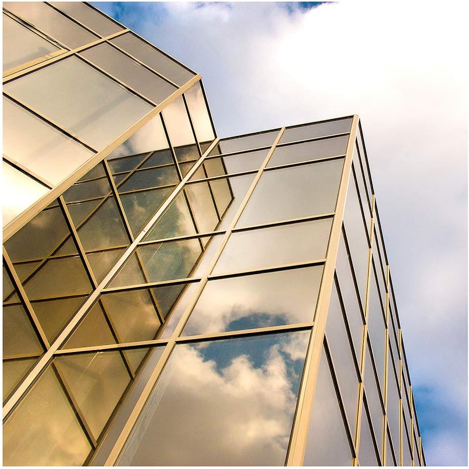 BDF PRGD Window Film Premium Color High Heat Control and Daytime Privacy Gold Outside, Silver Inside - 36in X 50ft