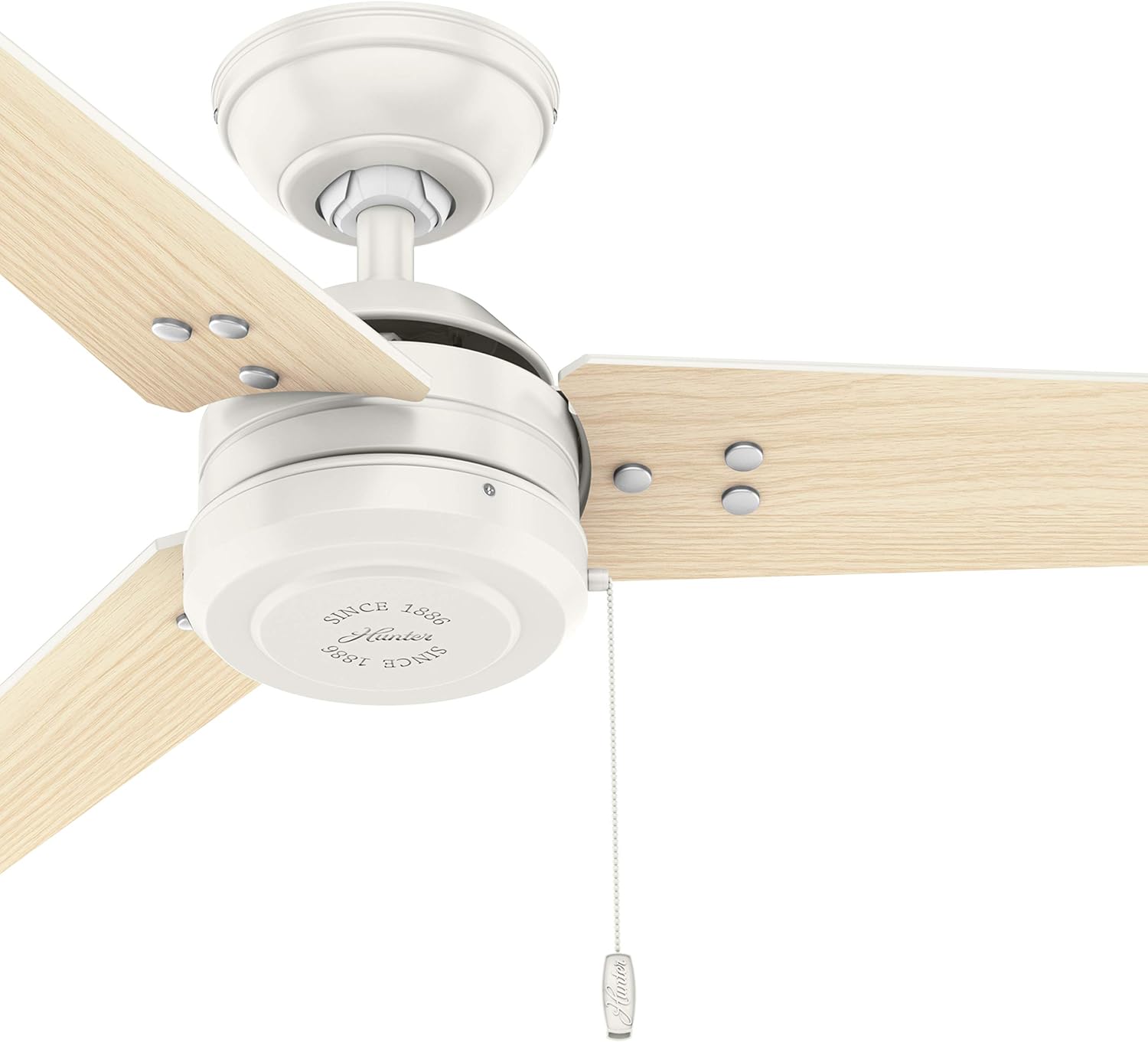Hunter Fan 44 inch Contemporary Fresh White Outdoor Ceiling Fan with Pull Chain (Renewed)