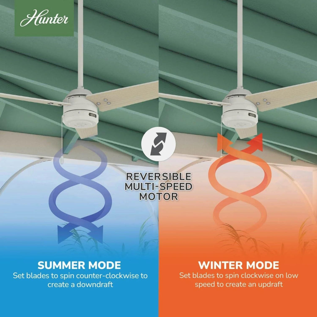 Hunter Fan 44 inch Contemporary Fresh White Outdoor Ceiling Fan with Pull Chain (Renewed)