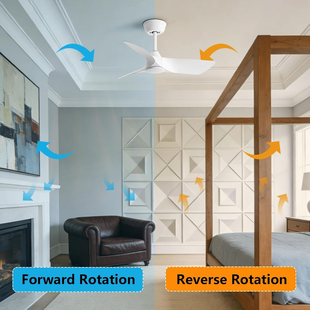 30 Inch White Small Ceiling Fan No Light with Remote 6 speeds | 30 inch quiet ceiling fan no light. 6 speeds, reversible DC motor, timer for small room, bedroom, kitchen, covered patio