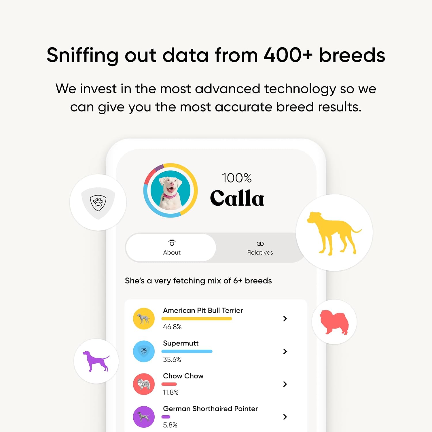 Embark Breed Identification Kit - Most Accurate Dog DNA Testing Kit - 99% Breed Ancestry Accuracy for Mixed Breed Dogs - Plus Relative Finder & Family Tree