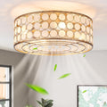 DDLLDESHI Capiz Fandelier Ceiling Fan with Light,20' Boho Caged Ceiling Fan with Light, Bldeless Enclosed Fan Lights Ceiling Fixtures for Bedroom Living Room Kitchen(Coastal Shell Style,White Oyster)
