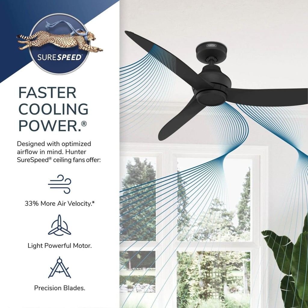 Hunter Fan Outdoor or Indoor Ceiling Fan, 52 in Black Ceiling Fan with Remote and No Light for Patios, Living Room, Bedroom, Porch, Garage (Renewed)