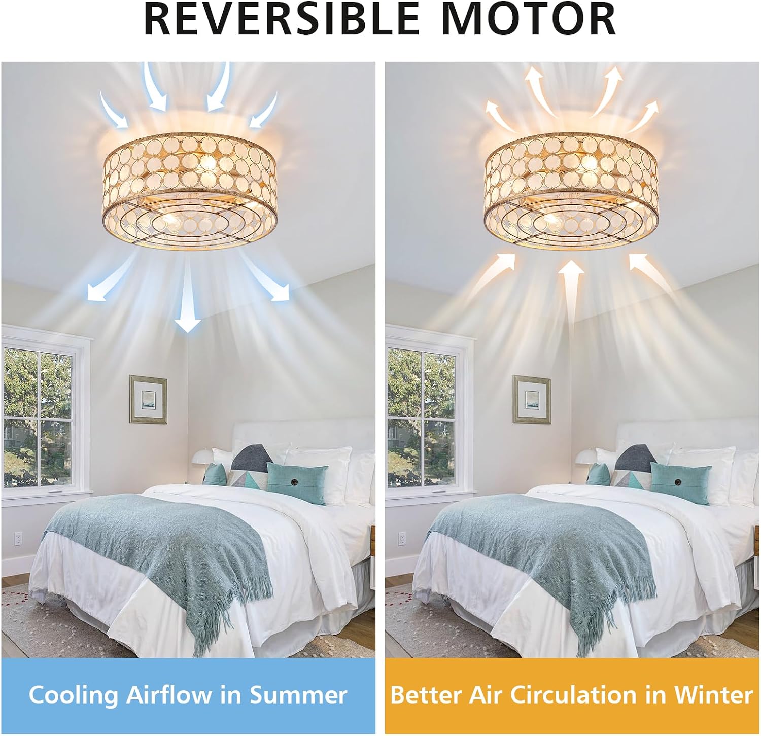 DDLLDESHI Capiz Fandelier Ceiling Fan with Light,20' Boho Caged Ceiling Fan with Light, Bldeless Enclosed Fan Lights Ceiling Fixtures for Bedroom Living Room Kitchen(Coastal Shell Style,White Oyster)