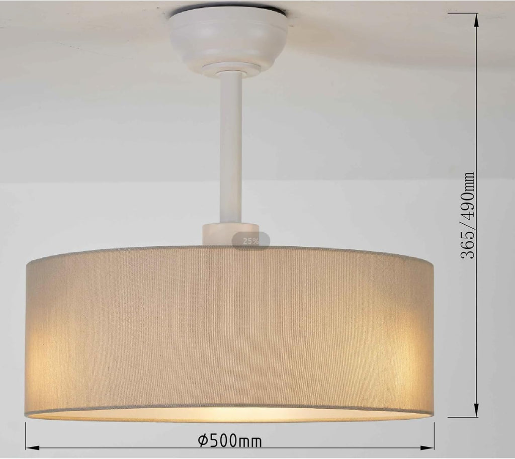 Low Profile Ceiling Fans with Lights 20' Ceiling Fans with Lights and Remote Flush Mount Ceiling Fan with Lights Boho Ceiling Fan with 6 Speeds for Living Room Bedroom.