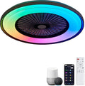 Dawn Whisper 24' Low Profile Ceiling Fans with Lights Quiet DC Motor 6 Speeds Timer Flush Mount Enlosed LED Modern Smart RGB Ceiling Fans with Alexa/Tuya APP Remote Control for Kids Bedroom Black