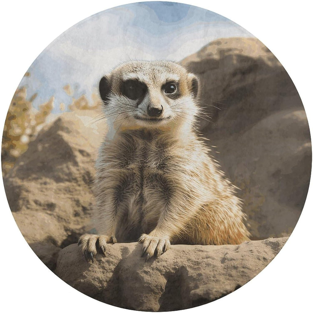 Meerkat Animal Coral Velvet Round Floor Mat Non-Slip Bath Rug Floor Covering for Bathroom Vanity Guest Suite & Vacation Home