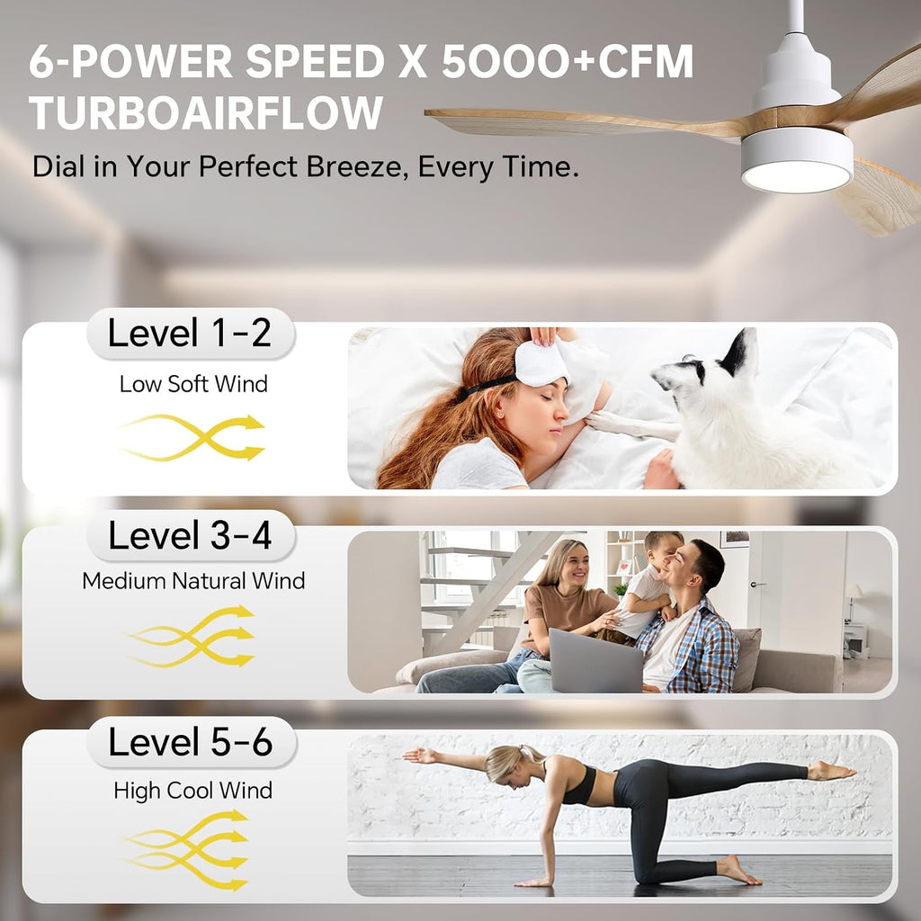 CACI Mall 48 inch Ceiling Fans with Lights, Smart Indoor/Outdoor Ceiling Fan, Remote Control, Compatible with Alexa/Google, Small 3 Blade Solid Wood Ceiling Fans for Bedroom Patio