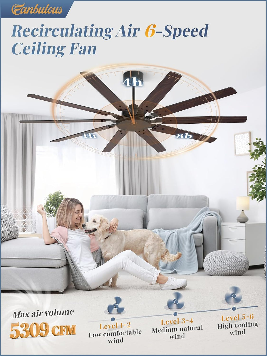 Fanbulous 65 Inch Large Ceiling Fan Without Light, Modern Indoor/Outdoor Ceiling Fans No Light with Remote,6-Speed Reversible Quiet DC Motor, 10 Blade for Bedroom,Living Room,Patio,Garage(Black)
