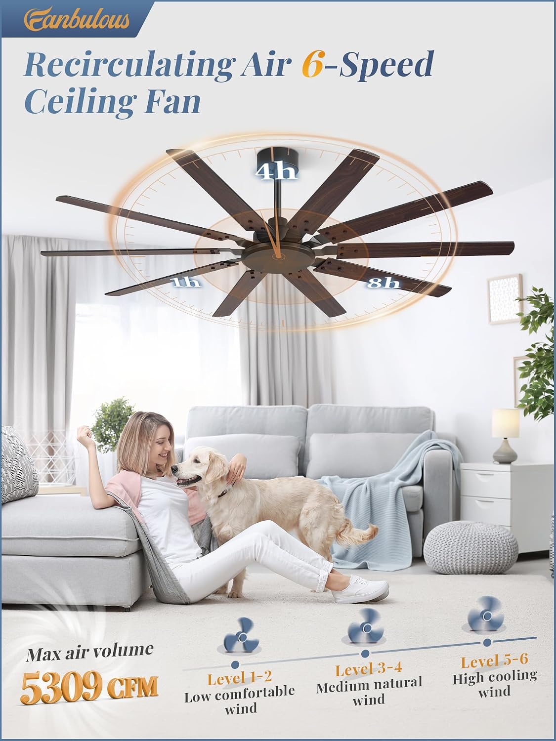 Fanbulous 65 Inch Large Ceiling Fan Without Light, Modern Indoor/Outdoor Ceiling Fans No Light with Remote,6-Speed Reversible Quiet DC Motor, 10 Blade for Bedroom,Living Room,Patio,Garage(Black)