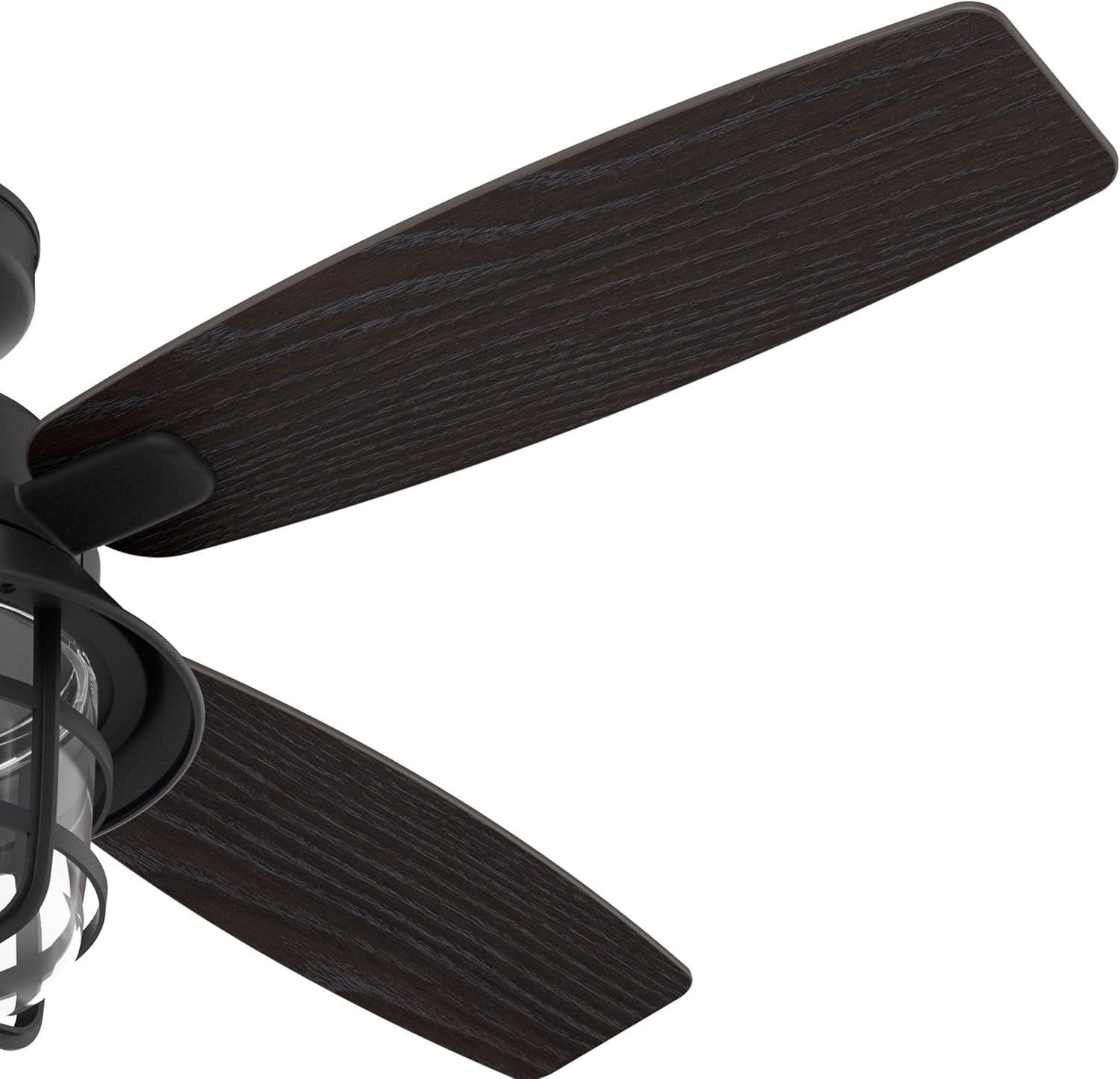 Hunter 52 inch Outdoor or Indoor Ceiling Fan with LED Light and Remote Control - Black Ceiling Fan, Standard Mount, 4 Blades, For Patio, Porch, or Living Room - Port Royale 50391, Natural Black Iron