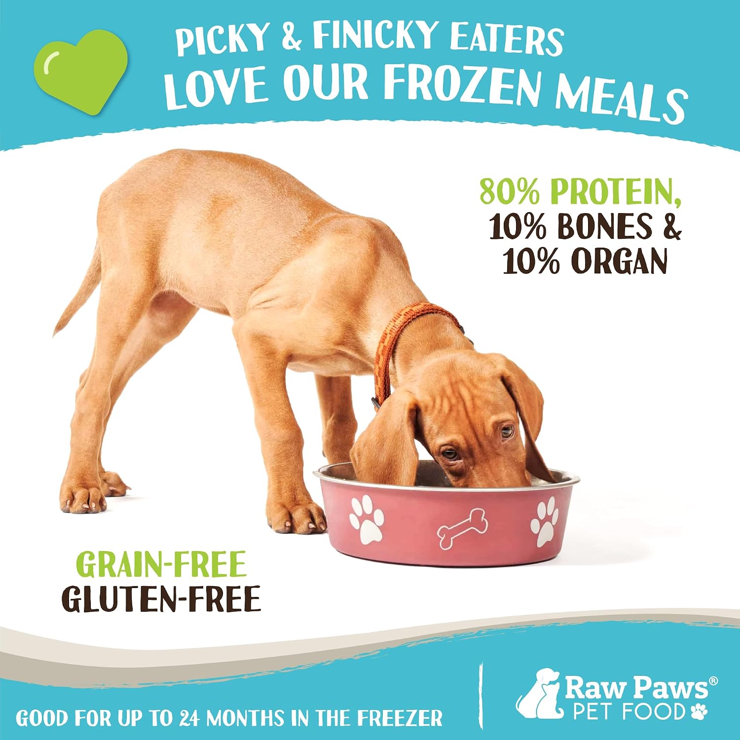Raw Paws Signature Blend Pet Food for Dog & Cats - Chicken Recipe, 1-lb Rolls (20 Pack) - Fresh Made in USA, Natural Raw Diet Dog Food, Raw Frozen Dog & Cat Food - Meat Roll Dog Food Log