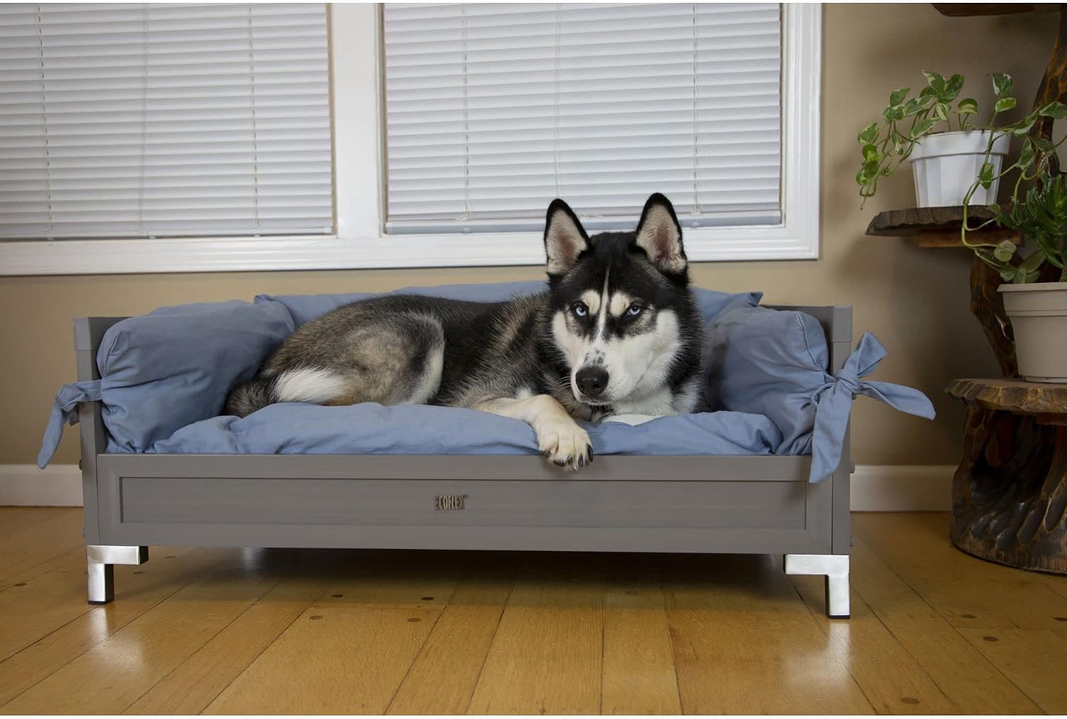 New Age Pet ECOFLEX Manhattan Raised Dog Bed, Moisture Resistant Frame with Stainless Steel Accents, Memory Foam Cushion, Grey, X-Large