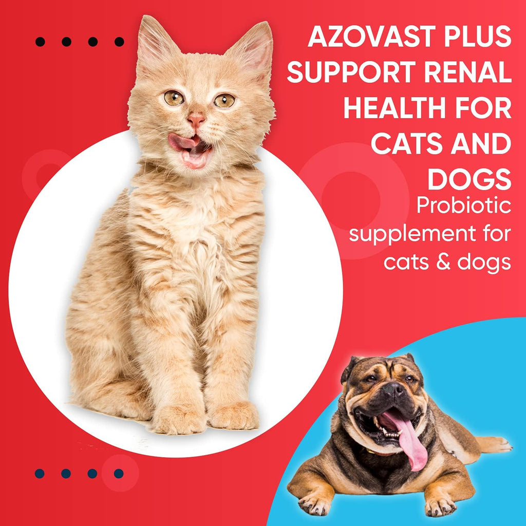 Azovast Plus Kidney Health Supplement for Dogs & Cats -24 Billion CFU- NO Refrigeration Required - Help Support Kidney Function & Manage Renal Toxins - Renal Care Supplement Capsule(U.S.A) (240 Caps)