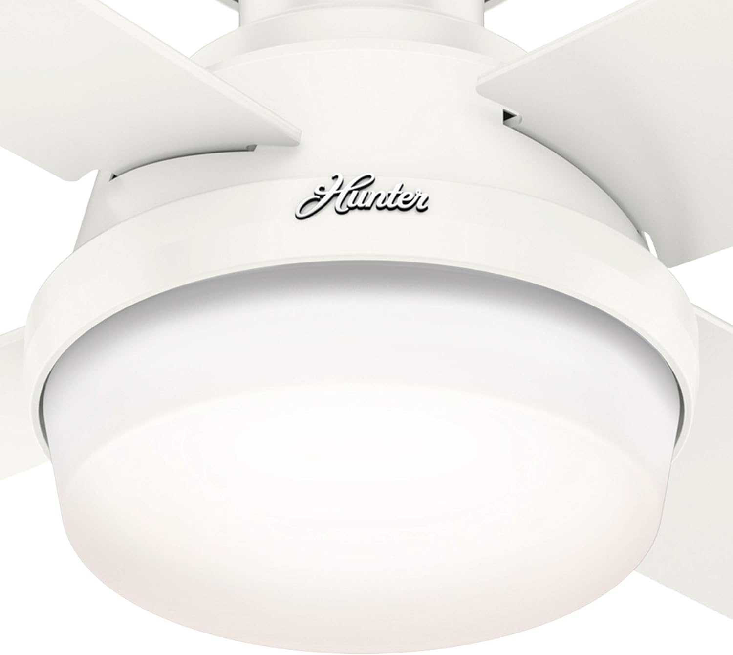 Hunter Fan 44 inch Low Profile Fresh White Indoor/Outdoor Ceiling Fan with Light Kit and Remote Control (Renewed)