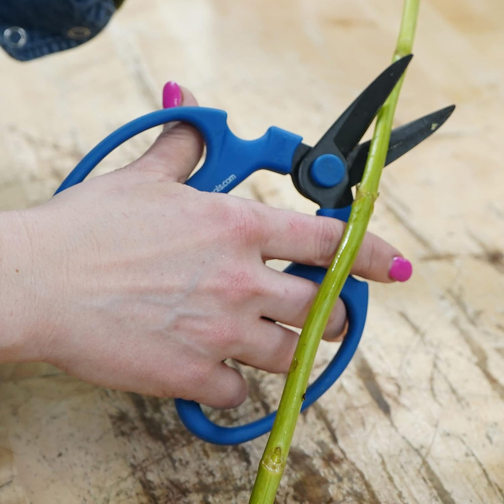 Flower Scissors Set Of 3 Carbon Steel Blades, 3 Sizes In Cool Analogous Colors