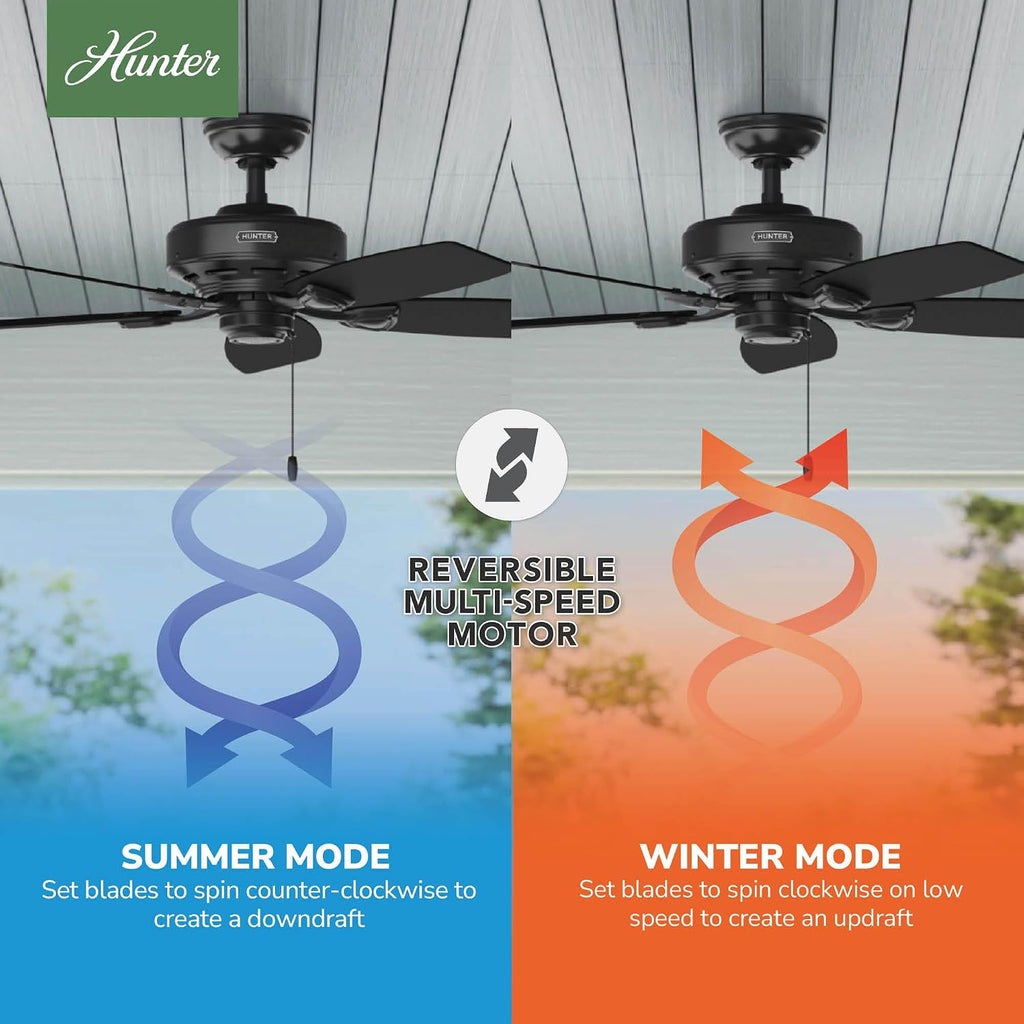 Hunter Fan Sea Wind Indoor / Outdoor Ceiling Fan with Pull Chain Control, 48', Black