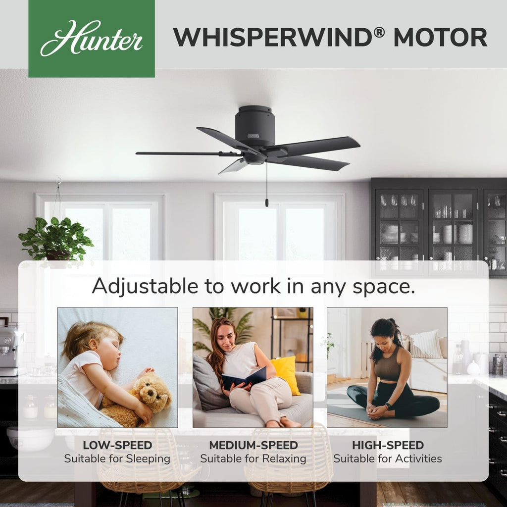 Hunter Fan 44 inch Low Profile Matte Black Outdoor Ceiling Fan with 5 Blades and Pull Chain (Renewed)