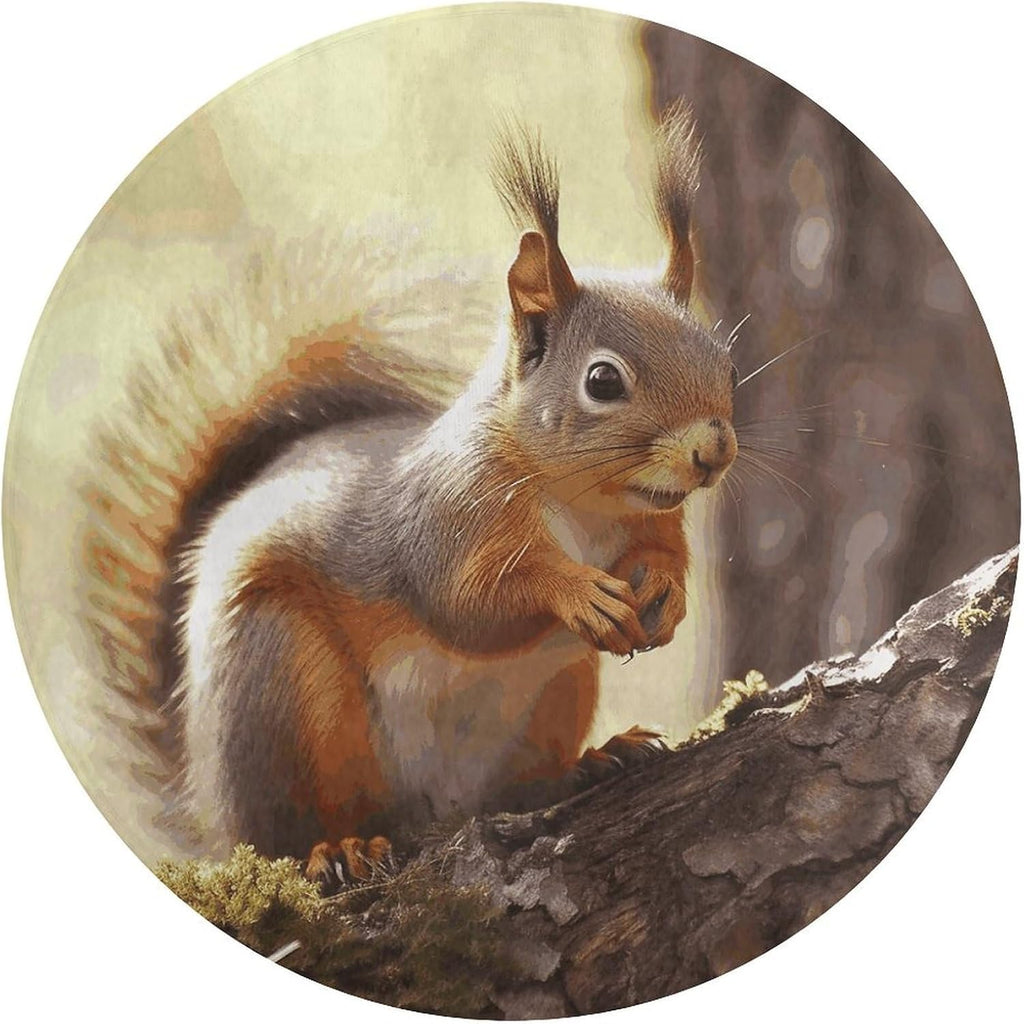 Funny Squirrel Coral Velvet Round Floor Mat Non-Slip Bath Rug Floor Covering for Bathroom Vanity Guest Suite & Vacation Home